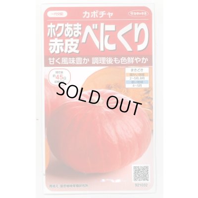 画像1: 送料無料　[かぼちゃ]　べにくり　6粒　(株)サカタのタネ　実咲450（002874）