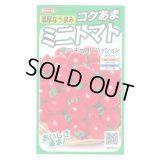 送料無料　[トマト/ミニトマト]　キャロルパッション　12粒　(株)サカタのタネ　実咲450（002826）