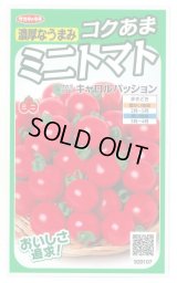 送料無料　[トマト/ミニトマト]　キャロルパッション　12粒　(株)サカタのタネ　実咲450（002826）