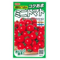 [トマト/ミニトマト]　キャロルパッション　12粒　サカタのタネ（株）　実咲400