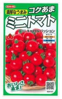 [トマト/ミニトマト]　キャロルパッション　12粒　サカタのタネ（株）　実咲400