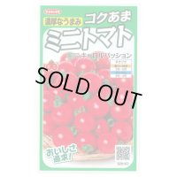 送料無料　[トマト/ミニトマト]　キャロルパッション　12粒　(株)サカタのタネ　実咲450（002826）