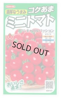 送料無料　[トマト/ミニトマト]　キャロルパッション　12粒　(株)サカタのタネ　実咲450（002826）