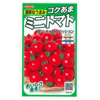 画像1: [トマト/ミニトマト]　キャロルパッション　12粒　サカタのタネ（株）　実咲400