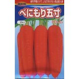 送料無料　[人参]　べにもり五寸　20ml　渡辺農事（株）