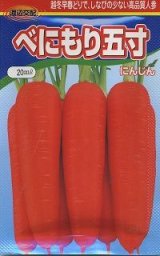 送料無料　[人参]　べにもり五寸　20ml　渡辺農事（株）