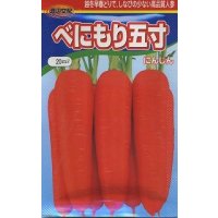 送料無料　[人参]　べにもり五寸　20ml　渡辺農事（株）