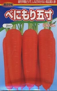 送料無料　[人参]　べにもり五寸　20ml　渡辺農事（株）