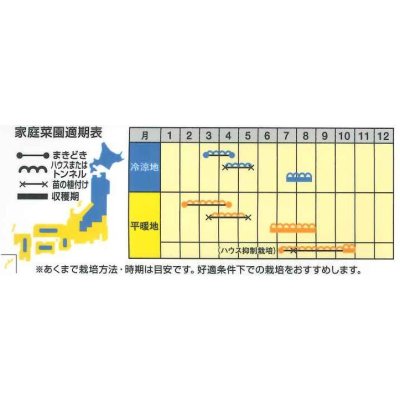 画像4: 送料無料　[メロン]　ベランダdeメロン(アニバーサリー)小袋(5粒)ナント種苗(株)
