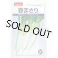 送料無料[大根]　春まさり　小袋　(株)タカヤマシード