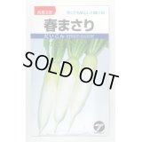 送料無料[大根]　春まさり　小袋　(株)タカヤマシード