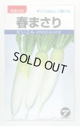 送料無料[大根]　春まさり　小袋　(株)タカヤマシード