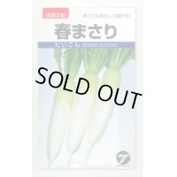 送料無料[大根]　春まさり　小袋　(株)タカヤマシード