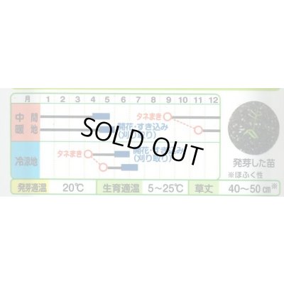 画像2: 送料無料　[緑肥]　大麦(緑肥用)ヘアリーベッチ・ナモイ　小袋(約10平方メートル分)