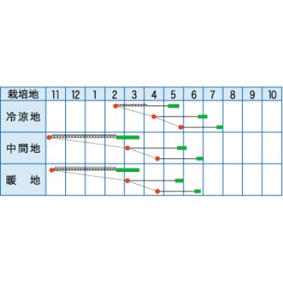 画像2: [大根]　春まさり　小袋　（株）タカヤマシード