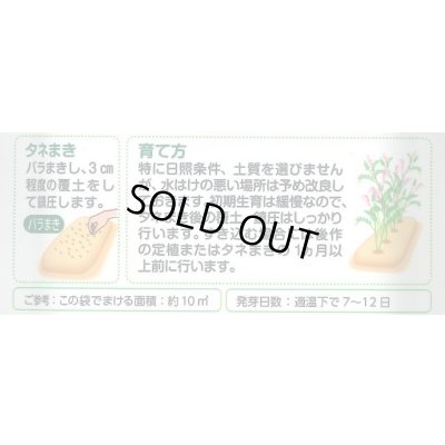 画像3: 送料無料　[緑肥]　大麦(緑肥用)ヘアリーベッチ・ナモイ　小袋(約10平方メートル分)