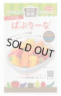 送料無料　[ピーマン]　パプリカ　ぱぷりーな　12粒　(株)サカタのタネ　実咲550（004022）
