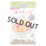 送料無料　[ピーマン]　パプリカ　ぱぷりーな　12粒　(株)サカタのタネ　実咲550（004022）