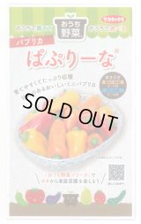 送料無料　[ピーマン]　パプリカ　ぱぷりーな　12粒　(株)サカタのタネ　実咲550（004022）