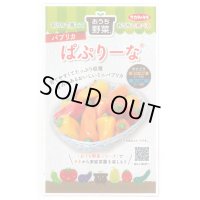 送料無料　[ピーマン]　パプリカ　ぱぷりーな　12粒　(株)サカタのタネ　実咲550（004022）