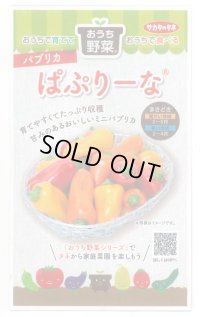 送料無料　[ピーマン]　パプリカ　ぱぷりーな　12粒　(株)サカタのタネ　実咲550（004022）