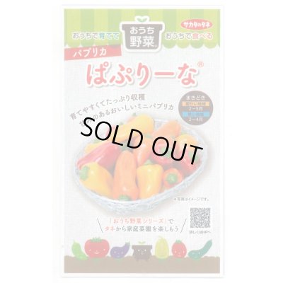 画像1: 送料無料　[ピーマン]　パプリカ　ぱぷりーな　12粒　(株)サカタのタネ　実咲550（004022）