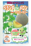 送料無料　[メロン]　ベランダdeメロン(アニバーサリー)小袋(5粒)ナント種苗(株)