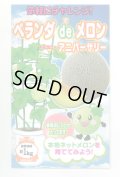 送料無料　[メロン]　ベランダdeメロン(アニバーサリー)小袋(5粒)ナント種苗(株)