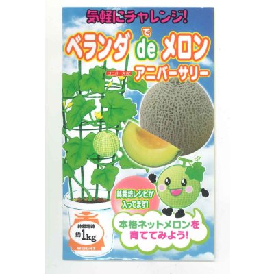 画像1: 送料無料　[メロン]　ベランダdeメロン(アニバーサリー)小袋(5粒)ナント種苗(株)