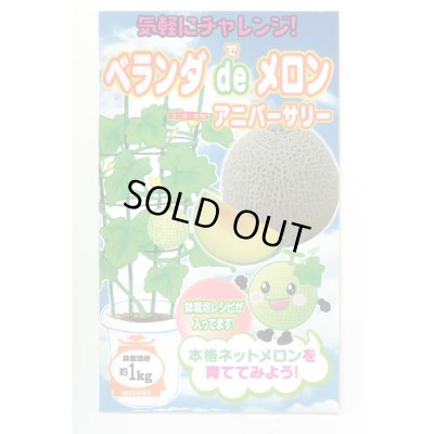 画像1: 送料無料　[メロン]　ベランダdeメロン(アニバーサリー)小袋(5粒)ナント種苗(株)