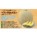画像3: 送料無料　[メロン]　ベランダdeメロン(アニバーサリー)小袋(5粒)ナント種苗(株) (3)