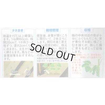 画像3: 送料無料　[枝豆]　いきなまる　約40粒　(株)サカタのタネ　実咲350　（003157）　　　　　　　　　　　　　　　　　　　　　　　　　　　　　　　　　　　　