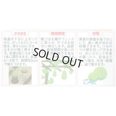 画像3: 送料無料　大ひょうたん　(およそ10粒)　(株)サカタのタネ　実咲250（002863）