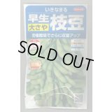 送料無料　[枝豆]　いきなまる　約40粒　(株)サカタのタネ　実咲350　（003157）　　　　　　　　　　　　　　　　　　　　　　　　　　　　　　　　　　　　