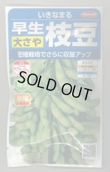 送料無料　[枝豆]　いきなまる　約40粒　(株)サカタのタネ　実咲350　（003157）　　　　　　　　　　　　　　　　　　　　　　　　　　　　　　　　　　　　