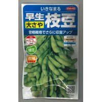 [枝豆]　いきなまる　約40粒　（株）サカタのタネ　　実咲300