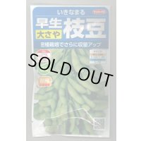 送料無料　[枝豆]　いきなまる　約40粒　(株)サカタのタネ　実咲350　（003157）　　　　　　　　　　　　　　　　　　　　　　　　　　　　　　　　　　　　