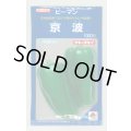 送料無料　[ピーマン]　京波　1000粒　タキイ種苗(株)