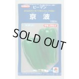 送料無料　[ピーマン]　京波　1000粒　タキイ種苗(株)