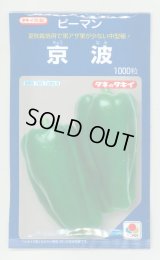 送料無料　[ピーマン]　京波　1000粒　タキイ種苗(株)