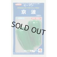 送料無料　[ピーマン]　京波　1000粒　タキイ種苗(株)