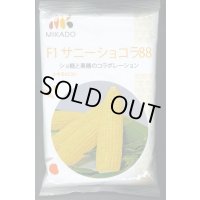 [とうもろこし]　サニーショコラ88　2000粒　ヴィルモランみかど（株）