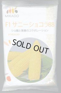 [とうもろこし]　サニーショコラ88　2000粒　ヴィルモランみかど（株）