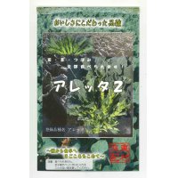 [葉物]　アレッタ２　　1ｍｌ　裸種子（およそ150粒）松永種苗（株）