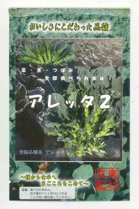 [葉物]　アレッタ２　　1ｍｌ　裸種子（およそ150粒）松永種苗（株）