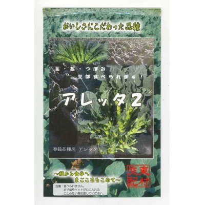 画像1: [葉物]　アレッタ２　　1ｍｌ　裸種子（およそ150粒）松永種苗（株）