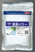 送料無料　[ねぎ]　夏扇パワー　1dl(裸種子)　(株)サカタのタネ