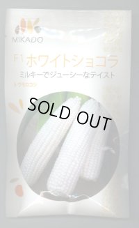 送料無料　[とうもろこし]　ホワイトショコラ　200粒　ヴィルモランみかど（株）