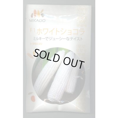 画像1: 送料無料　[とうもろこし]　ホワイトショコラ　200粒　ヴィルモランみかど（株）