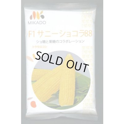 画像1: 送料無料　[とうもろこし]　サニーショコラ88　200粒　ヴィルモランみかど（株）